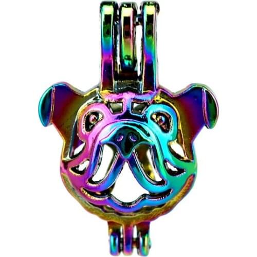 C703 5pcs/lot COLORS Multicolor Shar Pei Beads Cage Pendant Locket Fairytale Party Essential Oil Diffuser