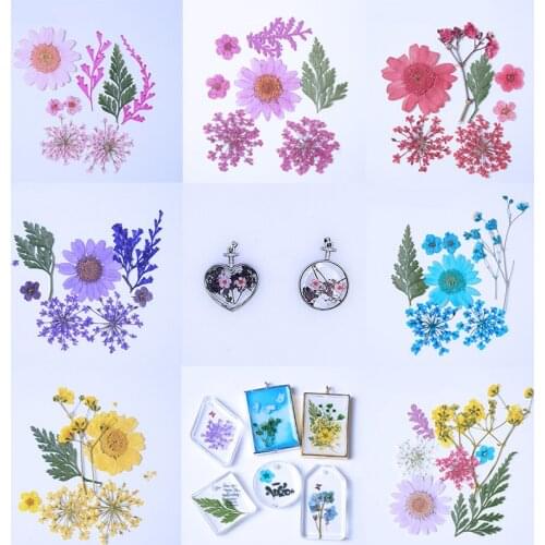 QIAOQIAO DIY Pressed Flowers small Dried Flowers Scrapbooking dry DIY Preserved Flower Decoration Home Mini bloemen flores seca