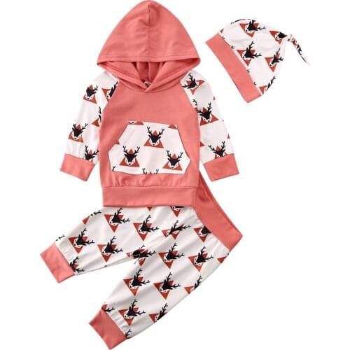 Toddler Kid Clothes Newborn Baby Girl Animal Print Clothes Long Sleeve Hooded Tops Pants Leggings Outfits Set Size 0-24M