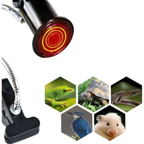Ceramic Lamp Holder 25-200W Heating Lamp+E27 Base Chicken Animal Chick Turtle Infrared Heater 220-240V Temperature Control Tool