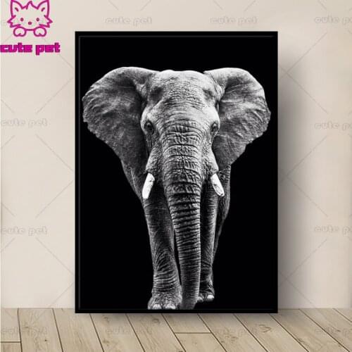 5d photo Round Diamond Painting Full Drill Square Mosaic black with white elephant Home Decor Handmade Embroidery Gift hobby art