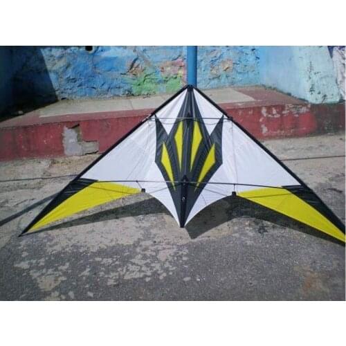 Crazy Double Line Stunt Kite