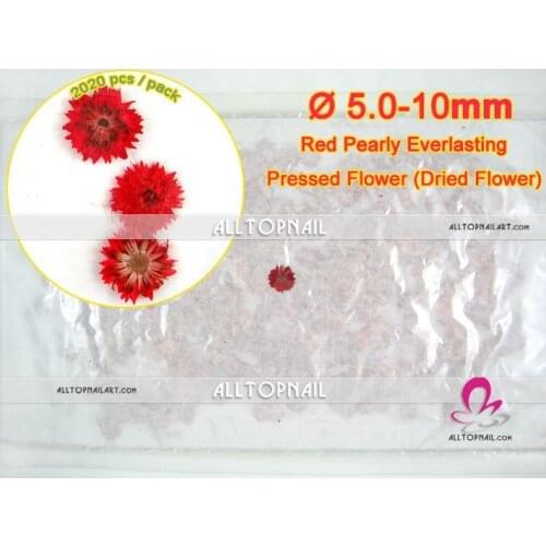 Anaphalis Margaritacea Red Pressed Flower 2020pcs/pack Nail Art Pearly Everlasting Real Dried Flower - Free shipping