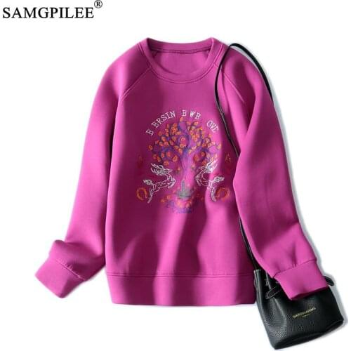 Oversized Hoodie 2021 Autumn New Sweet Romantic Embroidery Pattern Elastic O Neck Long Sleeved Winter Sweetshirts For Women 4XL
