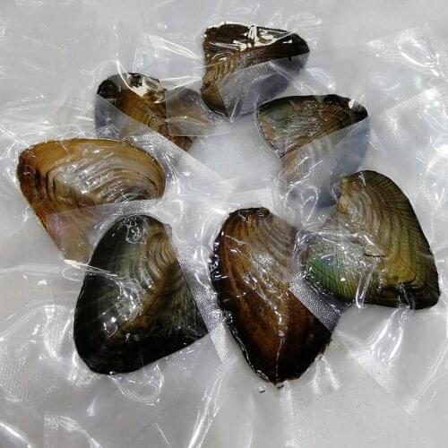 Oysters Real Pearl Gift Necklace Pendant Individually Wrapped Vacuum Package 7-8mm Jewelry Shell Dress Accessories