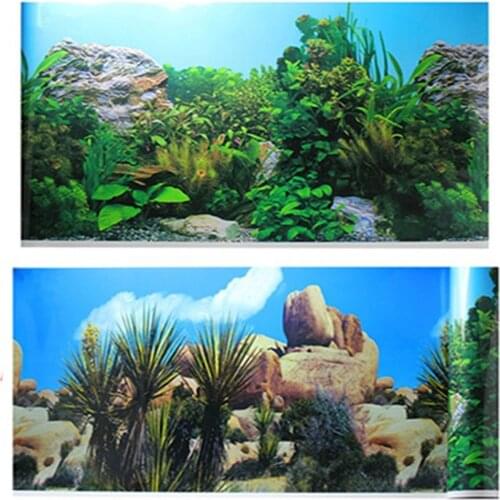 30 40 50 60CM High Double Sided Aquarium Background Poster Coral Fish Tank Wall Backdrop Image Decoration