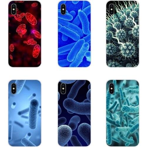 Microbes Red Accessories Phone Cases Covers For Apple iPhone X XR XS 11Pro MAX 4S 5S 5C SE 6S 7 8 Plus ipod touch 5 6