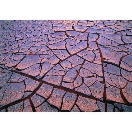 Canvas printed modern oil painting desiged artwork from a Impressionist photo for home decor (no frame) free shipping