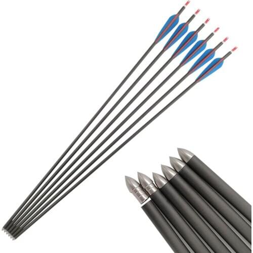 Archery Carbon Arrows Spine 300 OD8.9mm 28/30/33Inch Shafts Plastic Vanes Points for Compound Recurve Bow Shooting Hunting