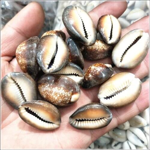 20pcs natural shell beads china south sea shell saltwater shell mother of pearl size 15-20mm fashion diy beads accessories