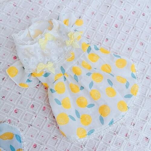 Pet Clothing for Dog Dress Summer Cat Skirt Yorkies Pomeranian Shih Tzu maltese Bichon Poodle Schnauzer Dog Clothes Dresses 2021