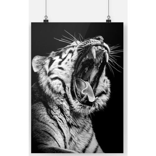 Angry Wild Tiger Animal Poster Canvas Painting Wall Art Decor Living Room Bedroom Study Home Decoration Prints