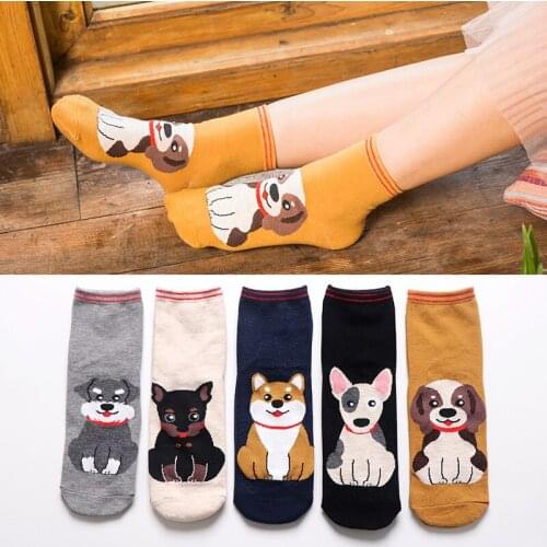5 pairs of autumn straight tube womens socks womens socks high warm cotton socks Japanese cartoon womens socks
