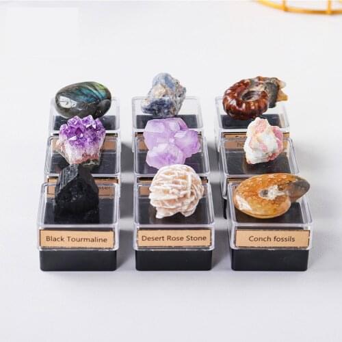 1Pc Natural Crystal Raw stone Ore Amethyst Cluster Energy Box Fossil Specimen Collection For Childrens Teaching Gifts