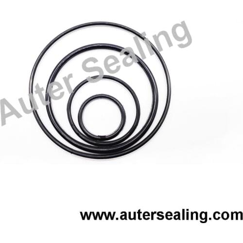 FEP OR 5 sizes FEP/FKM FEP- ORING Encapsulated FEP+FPM O RING