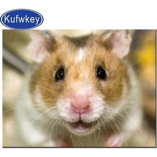 Cute mouse 5d diy diamond painting cross stitch full square/round diamond embroidery mosaic animal pet home decoration