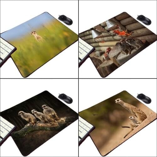 Mairuige So Cute Funny Animals Meerkats Pattern Diy Pc Computer Gaming Mousepad Small Size Table Rubber Mouse Pad Pet Cat Dog