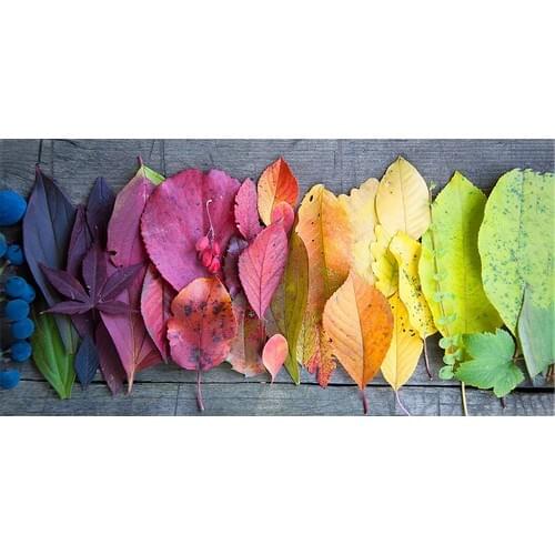 Hobi Butik Wall Paintings