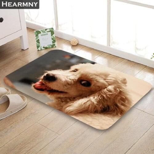 Custom Poodled Dog Doormat Floor/Bath/Kitchen/Beach Mat Flannel Sponge Fabric 3D Printed Shaggy Decoration For Bedroom