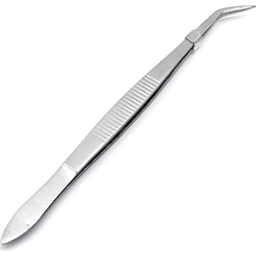 Stainless Steel Dental Tweezers Tip Curved Tweezer for Professional Grafting Teeth Whitening Dentist Tools