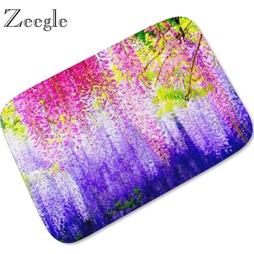 Zeegle Floral Printed Hallway Microfiber Flannel Floor Mats for Living Rooms Non-slip Welcome Mats for Front Door Shoe Rugs