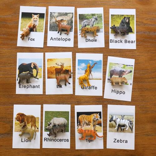 Montessori Language Material Forest Animals Cards Preschool Educational Learning Toys For Kids Juguetes Brinquedos MJ1244H
