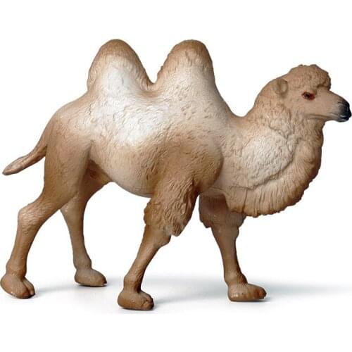 Camel Safari Wild Safari Wildlife Dromedary Model Collection for Children Kids Toy Birthday Gifts