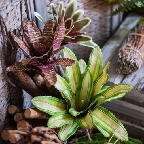 35CM Artificial Tropical Pineapple Green Fake Plants Ecological Rainforest fish Tank Landscaping Public Space Project Home Decor