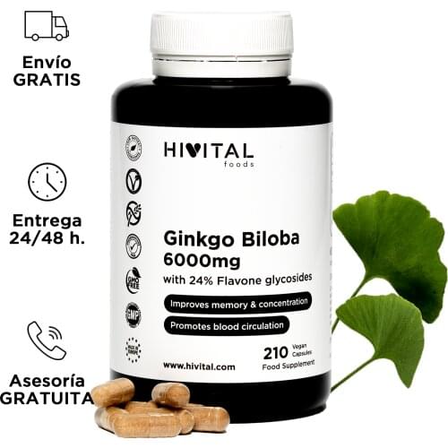 Ginkgo Biloba 6000 mg | 210 capsules vegan for 7 months | 100% Natural with 24% flavonoids and 6% terpenoids | de HIVITAL