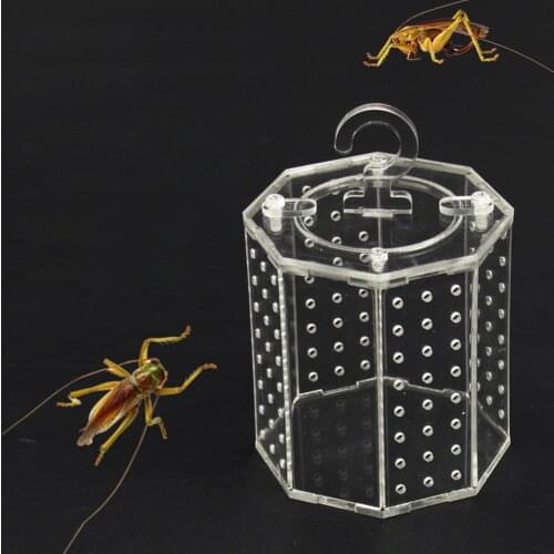 Spider Insect Reptile Tank Vivarium Cage Box Clear Acrylic Terrarium