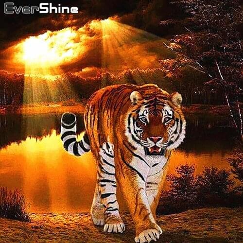 Evershine 5D Diamond Painting Full Square Animals Cross Stitch Diamond Embroidery Sale Rhinestones Pictures Diamond Art Beadwork