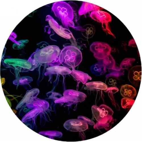 13cm x 12.9cm for Neon Jellyfish Underwater Sea Car Truck Decal Vinyl Car Wrap DIY Waterproof Simulation Fun Stickers