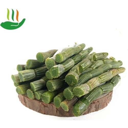 Dendrobium, Dry Strip, Glial Rich