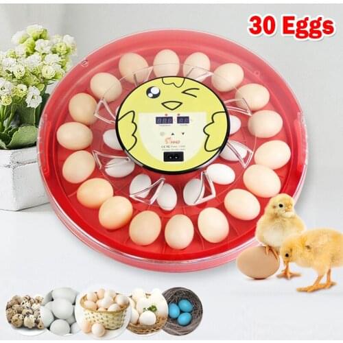 Egg Incubator Automatic Brooder Hatchery Spin Turner for Breeding Bird Quail Chicken Eggs Smart Control Poultry Hatchery Machine