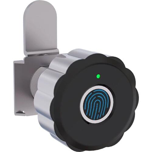 Keyless Mini Fingerprint cabinet lock biometrics electric lock for cabinet drawer strongbox Mailbox