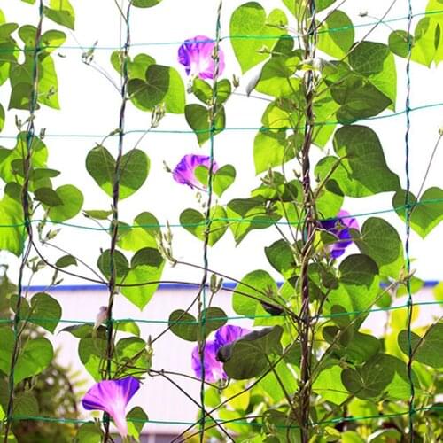 High Load Capacity Cucumber Pumpkin Tomato Vine Grow Holder Mesh Horticulture Plant Crawl Net Farm Gardening Network 1.8x3.6m