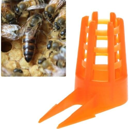 20 Pcs/Set Bee Queen Cell Cover Beekeeping Tools Beekeeper Equipment Plastic Cage Protective Supplies Professional L5YE