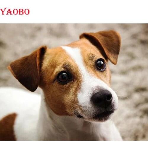 DIY Diamond Embroidery"jack russell terrier"5d Full Square Diamond Painting,Cross Stitch,round Drill Mosaic diamond picture pet