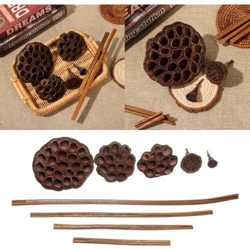 Natural Dried Lotus Flowers Emulation Flower Arrangement Office Home Party DIY Decoration Crafts Pressed Flowers