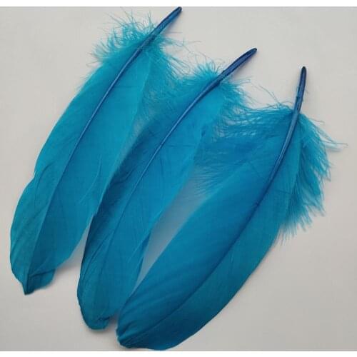 Hot 20pcs Beautiful Sky Blue Hard Goose Feathers 15-20cm/6-8inch Christmas Decoration Clothing Shoes Hat Accessories