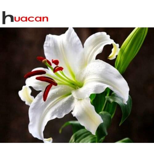 Huacan 5D Diamond Painting Rhinestones Lily Diamond Mosaic Set For Embroidery Cross Flower Modular Pictures Home Decoration