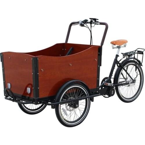 Newest generation electric cargo bike to Allen, CFR Montreal price, with canopy & 2pcs seat cushions