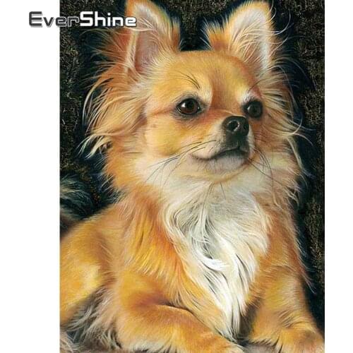 Evershine Diamond Painting Dog Animal Cross Stitch Diamond Embroidery Full Square Pet Rhinestone Diamond Mosaic Full Set Crystal