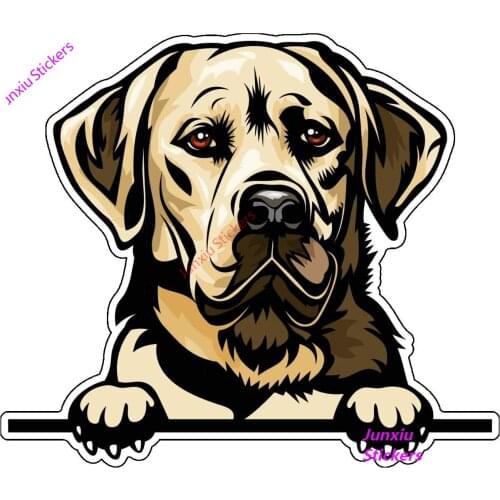 Lifelike Labrador Retriever Dog Car Sticker Styling Motorcycles Bumper for Bmw E46 Cover Scratches Decal Accessories KK16*14cm