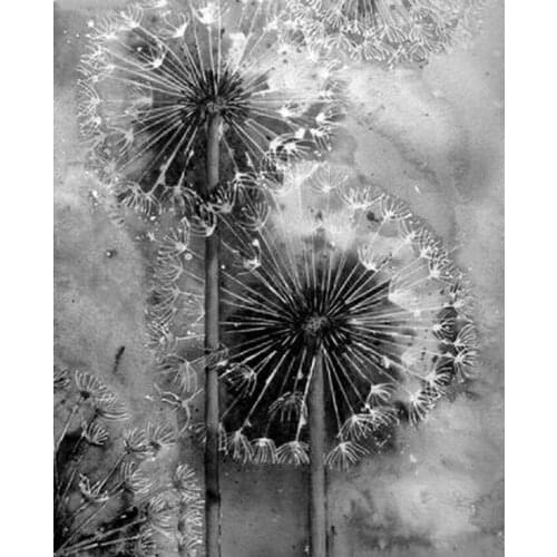 Black and white art 5D DIY Diamond Painting Dandelion Full Square round stone 3D Rhinestone Embroidery Mosaic Wall Decor L446