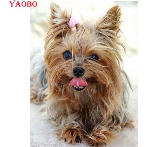 DIY Diamond Embroidery Yorkshire Terrier Diamond Painting,Cross Stitch,5d Full Square round Drill Mosaic diamond picture pet dog
