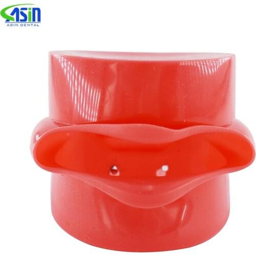 Dental phantom head removable teeth model Silicone Mask dental Study Teaching head Model Mask Holder Decor