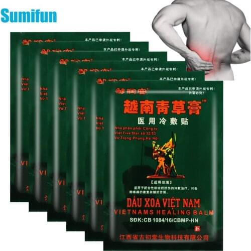 40pcs Vietnam Herbal Plaster Back Neck Knee Lumbar Ache Joints Orthopedic Pain Relief Patch Herbal Medical Sticker Massage Patch