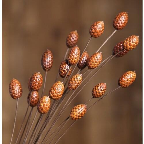 1 pcs Dried Flower Berries Handmade Bodhi Branch DIY Farmhouse Home Decor Floral Arrangement Natural Wreath Decoration H 21.6