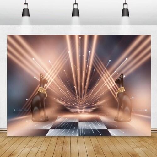 Spotlight Stage Backdrop For Photography Rays Lights Black White Floor Cat Child Shoot Party Photography Background Photocall